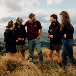 New Zealand Young Farmers Website-1