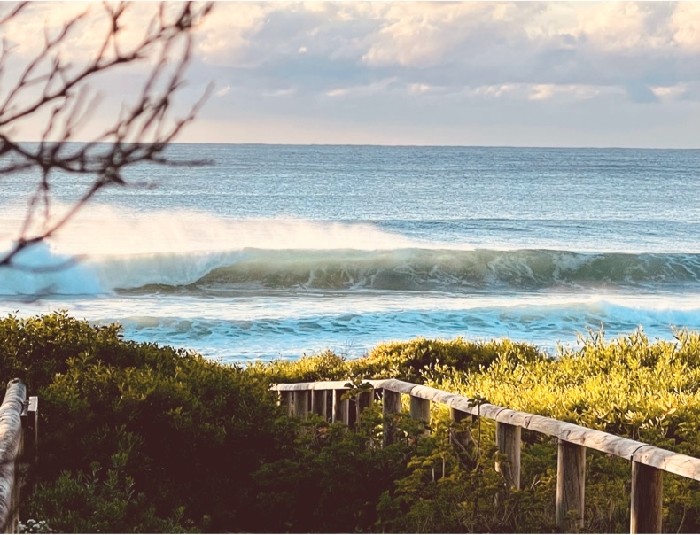 Narrabeen Beach